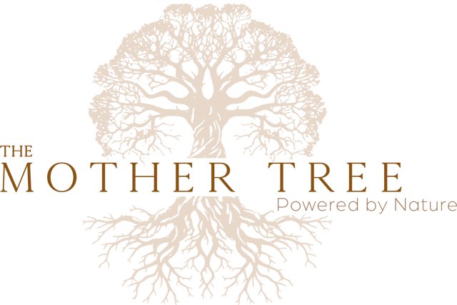 The Mother Tree